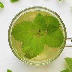 Veg Out Iced Green Garden Infused Tea Tonic.
