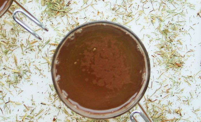 Fountain of Youth Horsetail Chai Tea Tonic.