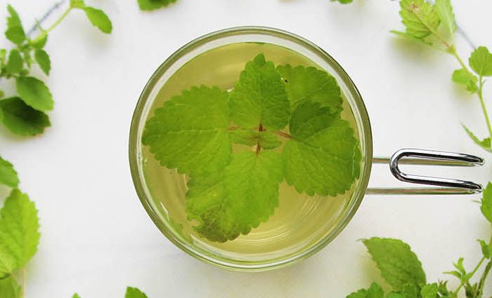 Veg Out Iced Green Garden Infused Tea Tonic.